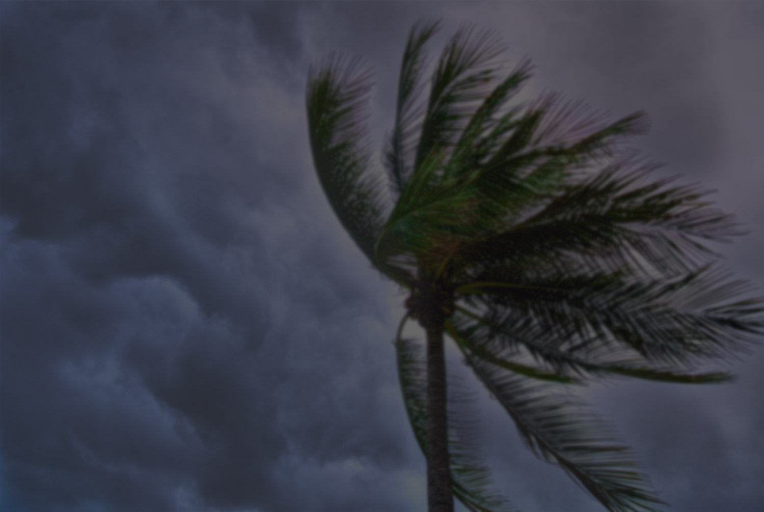 Are Modular Homes Hurricane Proof?